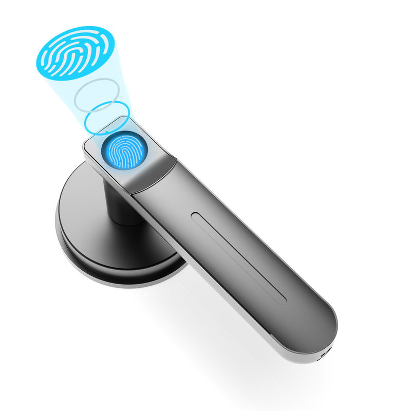 D01 Smart Keyless Entry Door Lock With Handle, Fingerprint Door Lock Untuk Ruang/Kantor/Aparatment