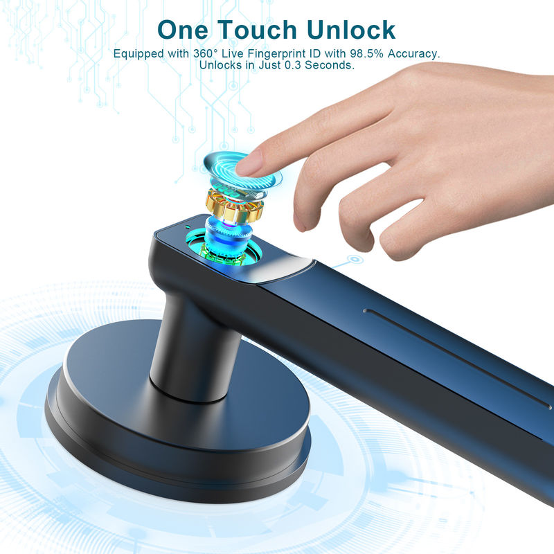 D01 Smart Keyless Entry Door Lock With Handle, Fingerprint Door Lock Untuk Ruang/Kantor/Aparatment
