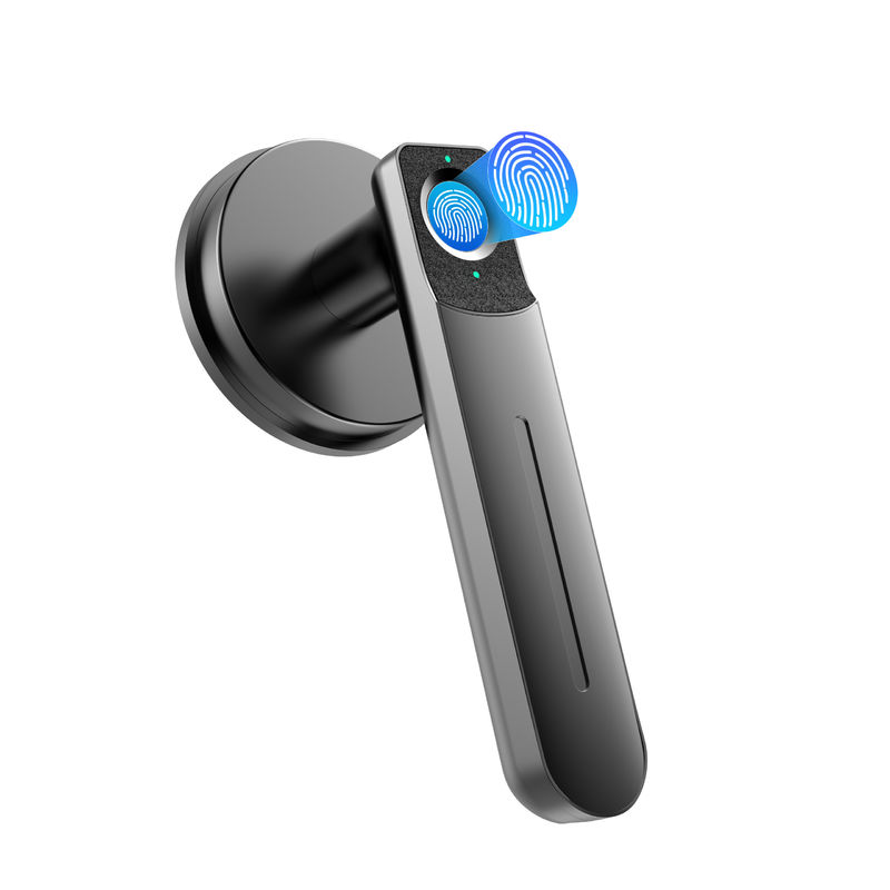 Smart C01 Kunci Pintu Sidik Jari, Kunci Pintu Tanpa Kunci Dengan Genggam, Kunci Pintu Biometrik