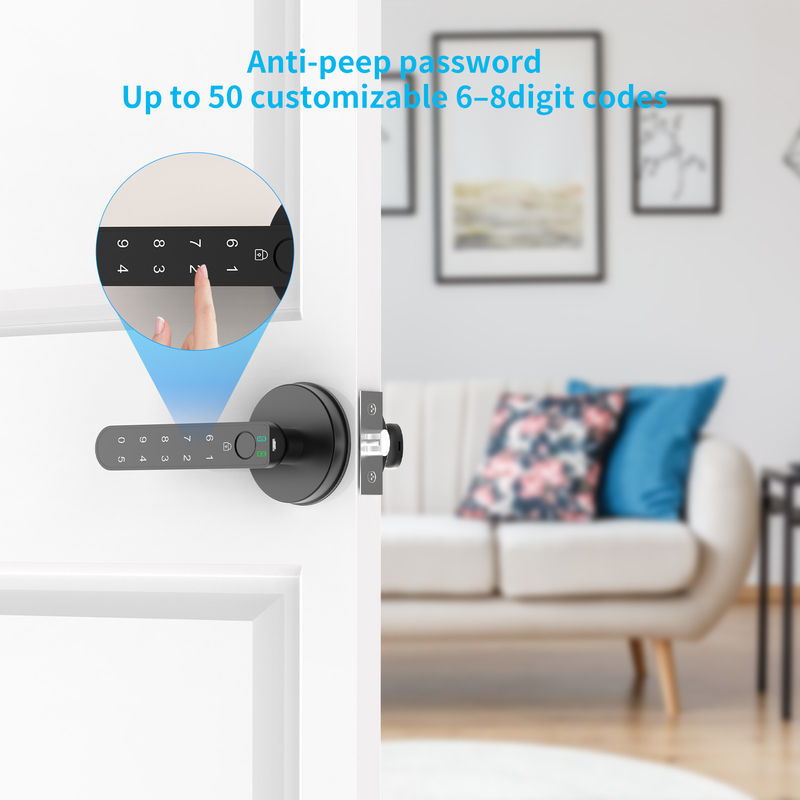 Smart Fingerprint Door Lock dengan Keypad, C02, Handle, Password, Fingerprint, Keyless Entry Door Lock untuk Rumah
